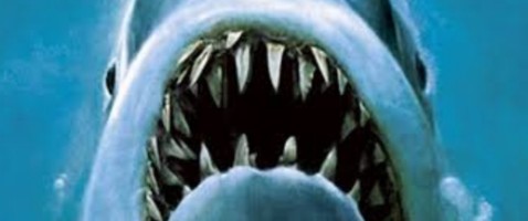 Jaws